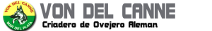 logo2