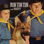 rintintin-900x774