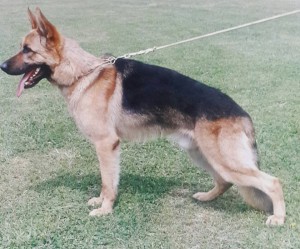 ASKO